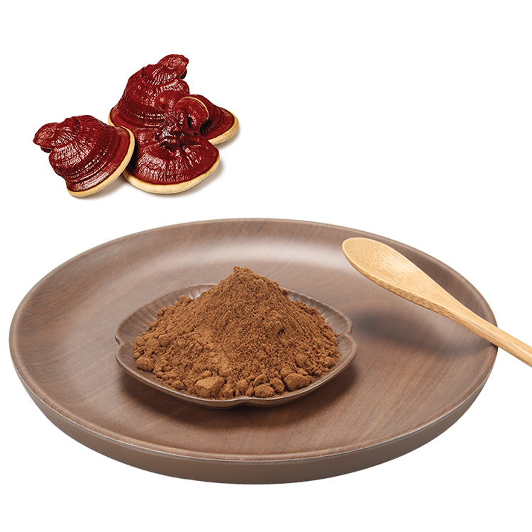 What Makes Our Reishi Mushroom Extract Truly Organic